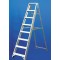 Platform Step Ladder ESP